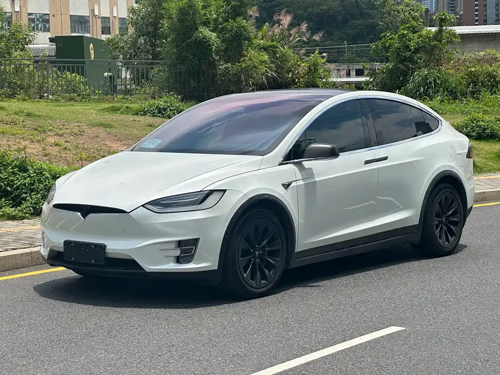 Tesla Model X 2019