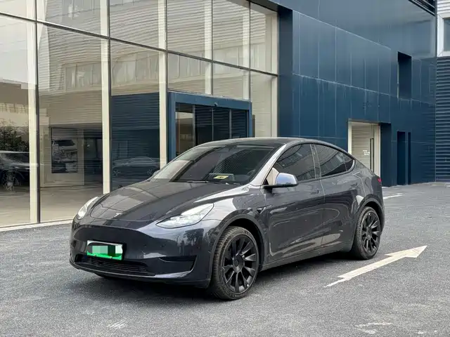 TESLA MODEL Y 2024