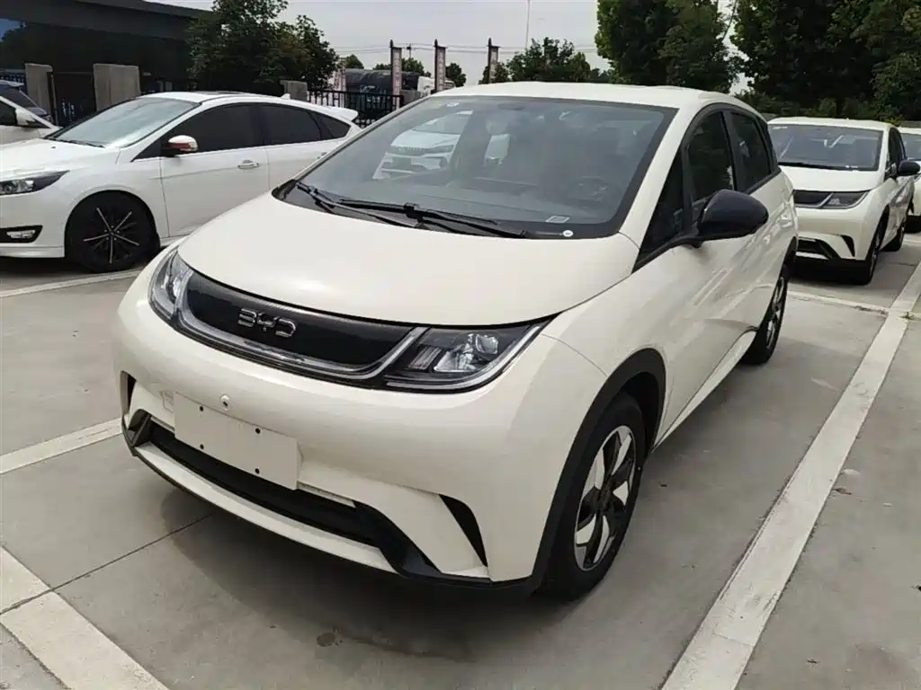BYD Dolphin
