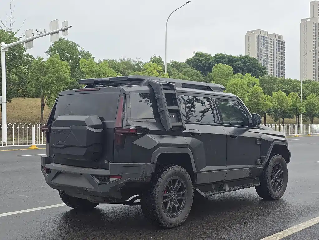 Mengshi Mengshi 917 — миниатюра 6