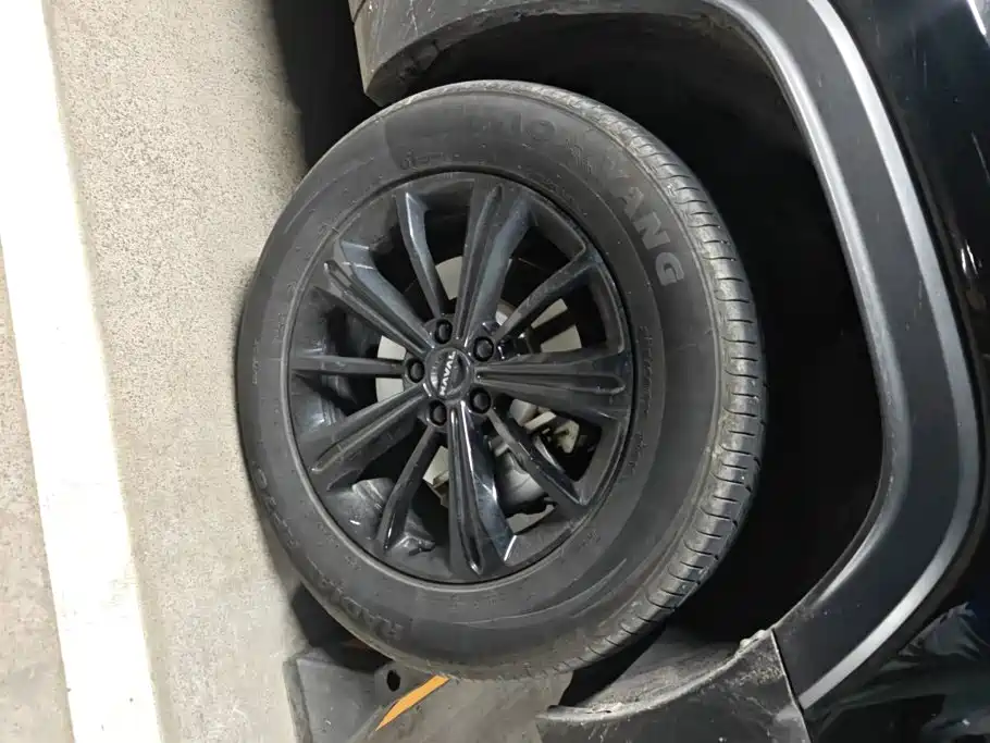 Haval Menglong New Energy — миниатюра 6