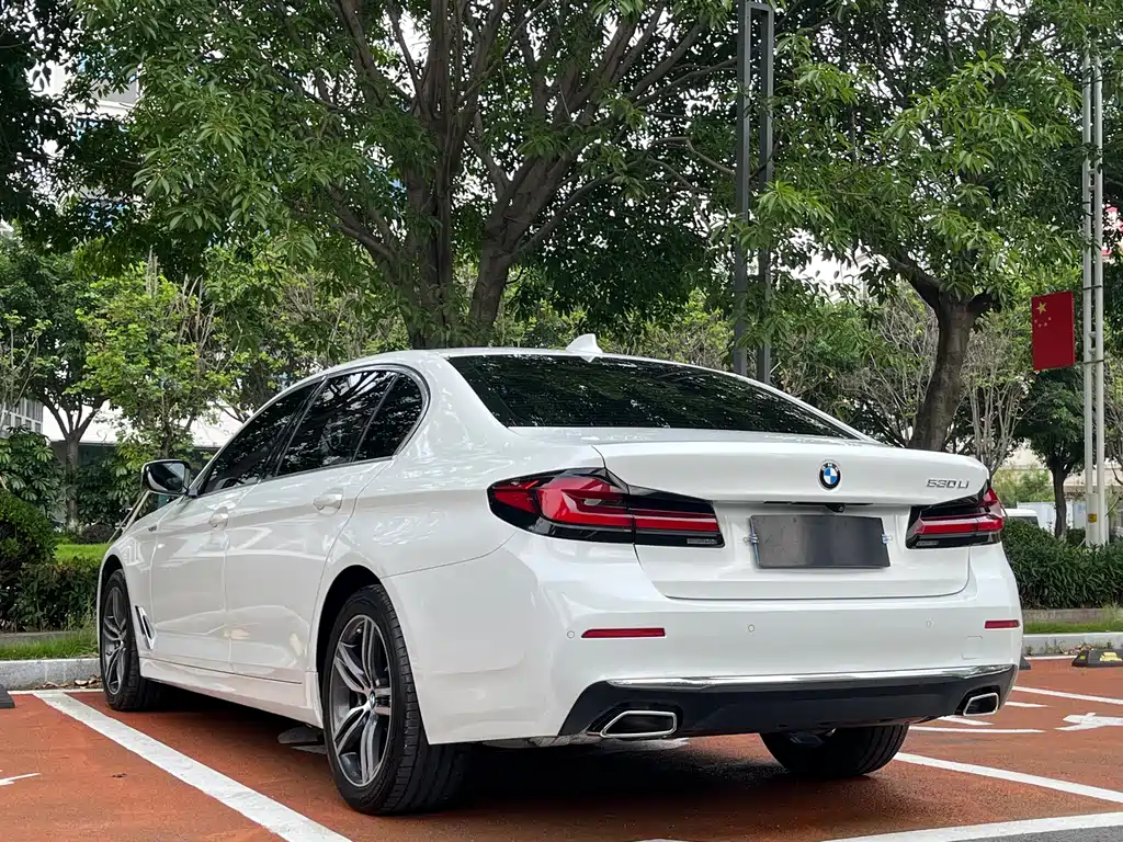 BMW 5 Series 5 2021 530Li Lead Luxury