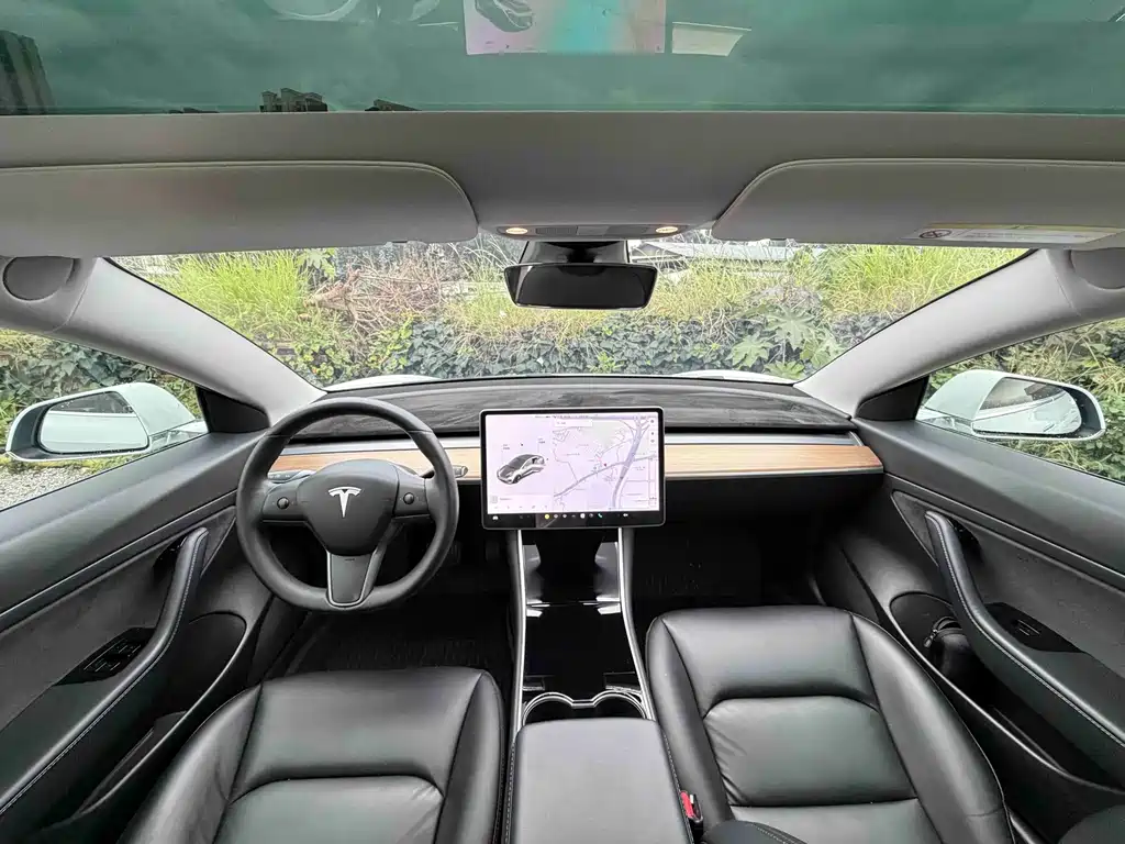 Tesla Model 3 — миниатюра 5