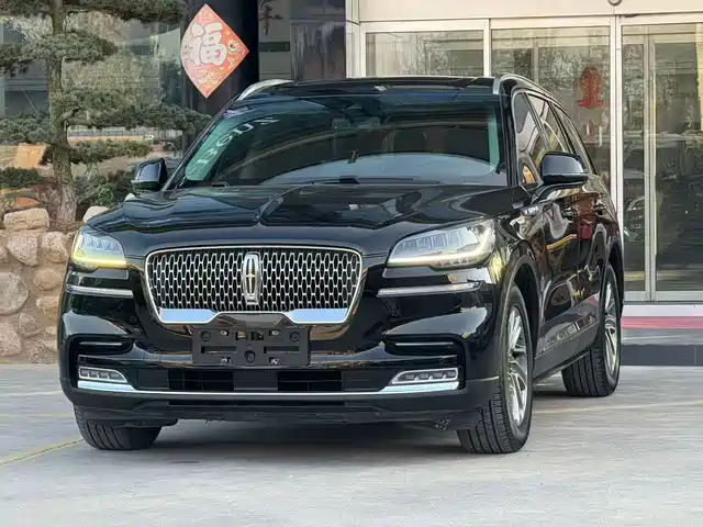 LINCOLN FLYING HOME 2020