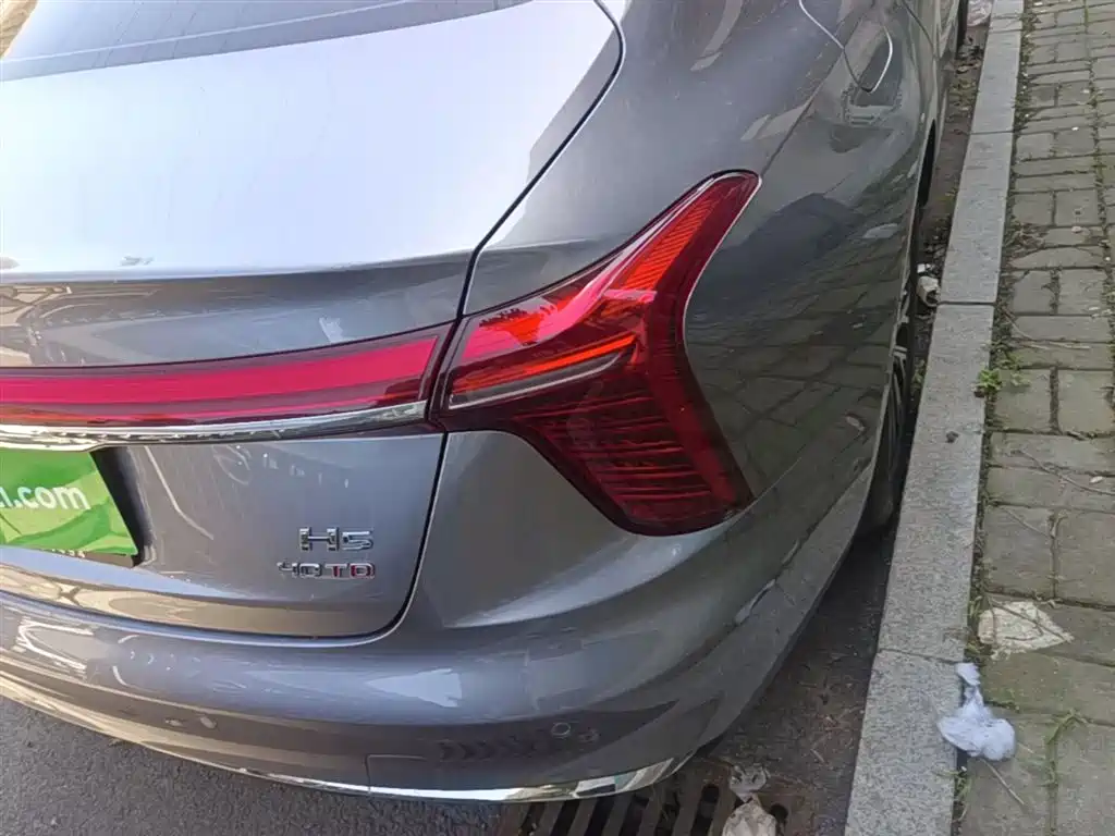 Hongqi H5 2024 2.0T AT