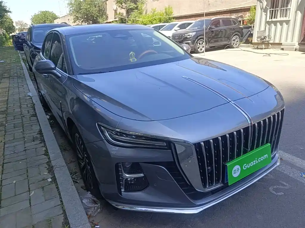 Hongqi H5 2024 2.0T AT