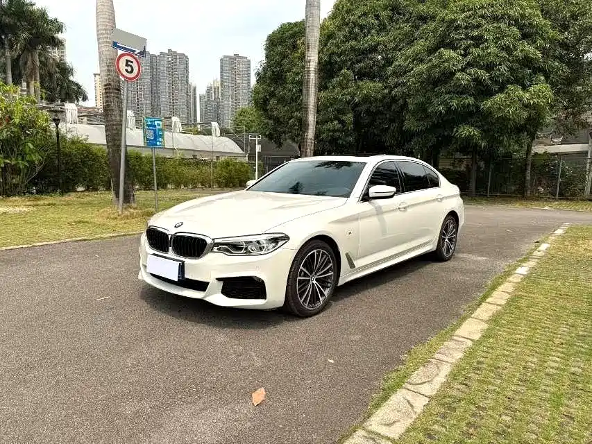 BMW 5 Series 2019