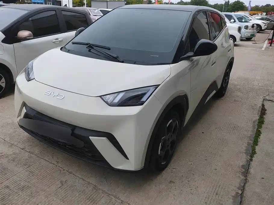 Byd Seagull 2025