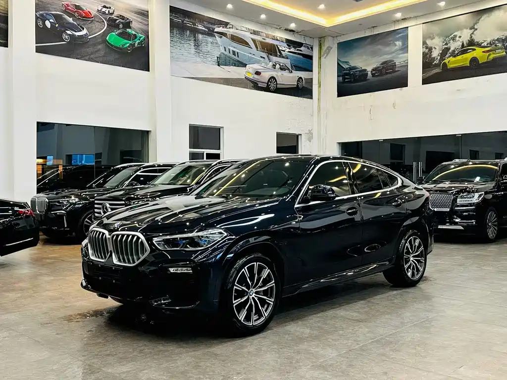 BMW X6 2022