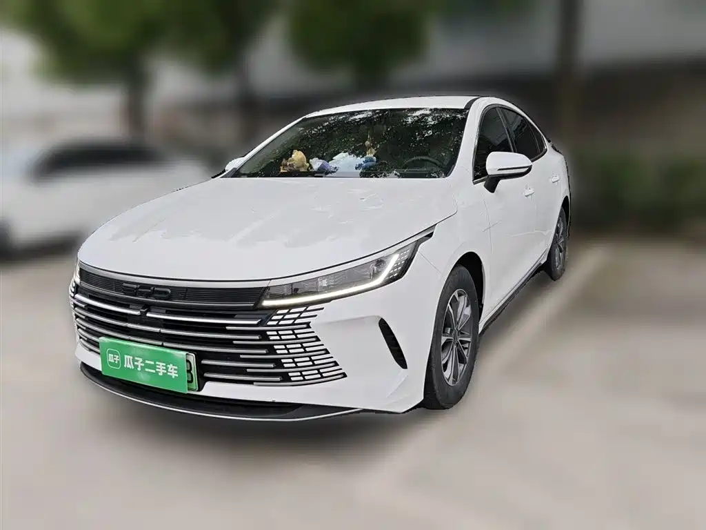 BYD Destroyer 05 2024