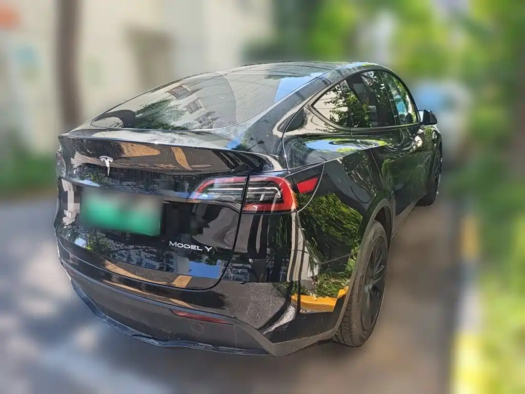 Tesla Model Y — миниатюра 4