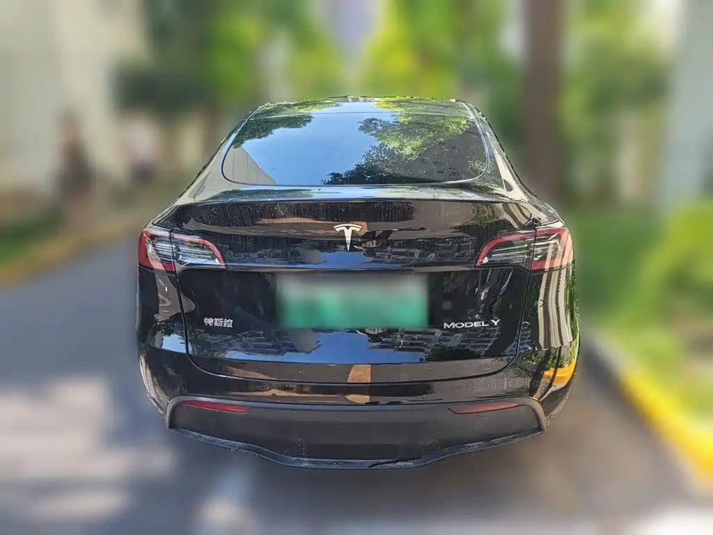 Tesla Model Y — миниатюра 3