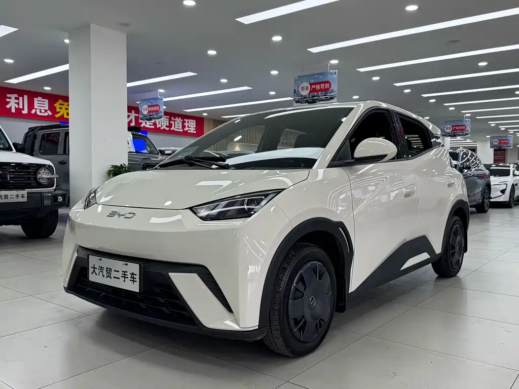 Byd Seagull 2024