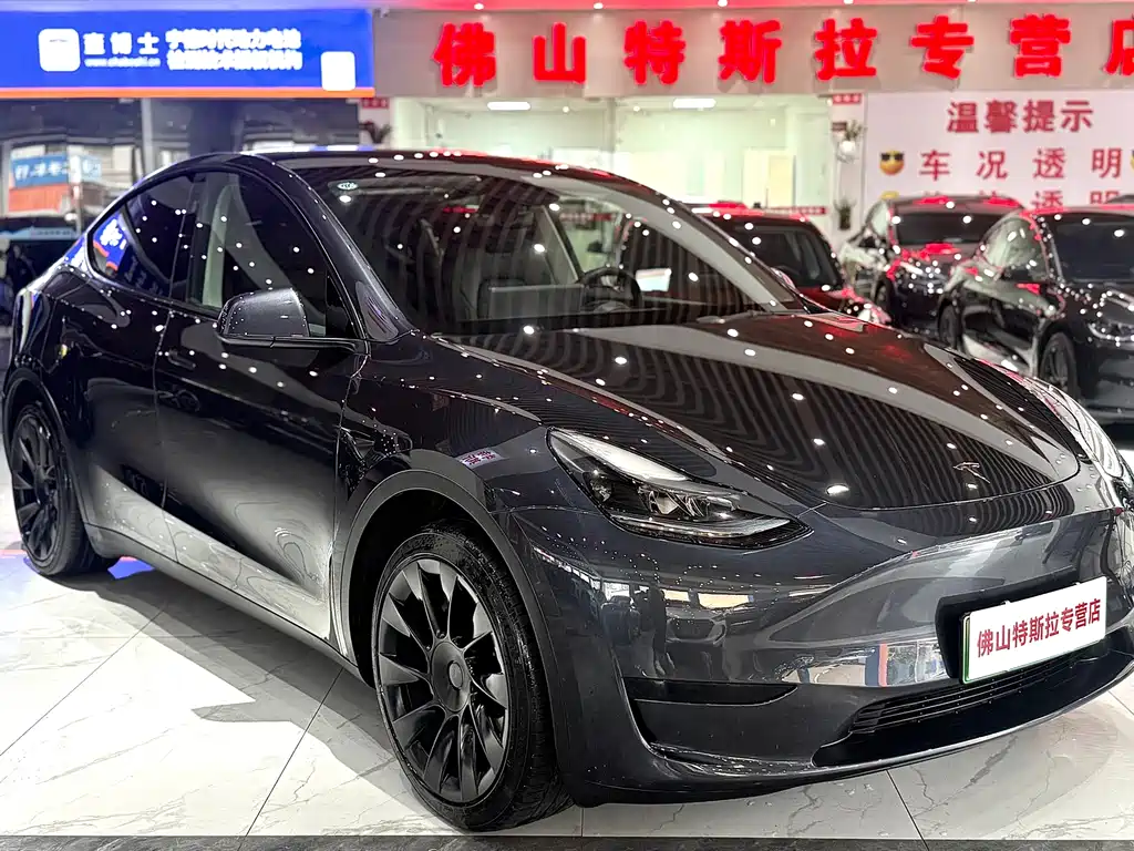 Tesla Model Y — миниатюра 2