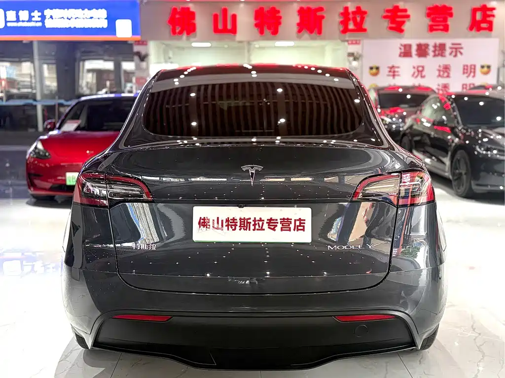 Tesla Model Y — миниатюра 6