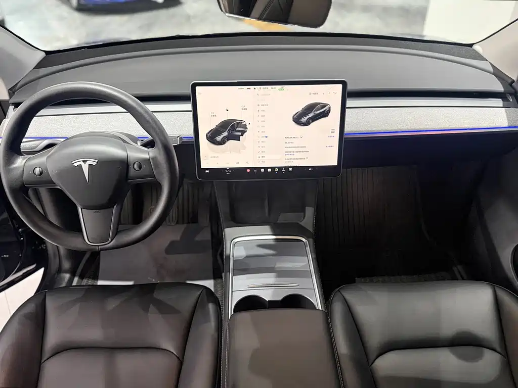 Tesla Model Y — миниатюра 9