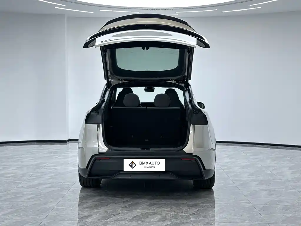 Tesla Model Y L