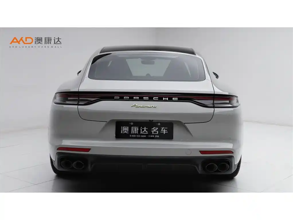 PORSCHE PANAMERA NEW ENERGY