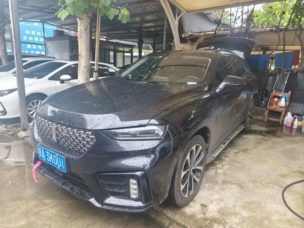 Купить Wey Wey VV7