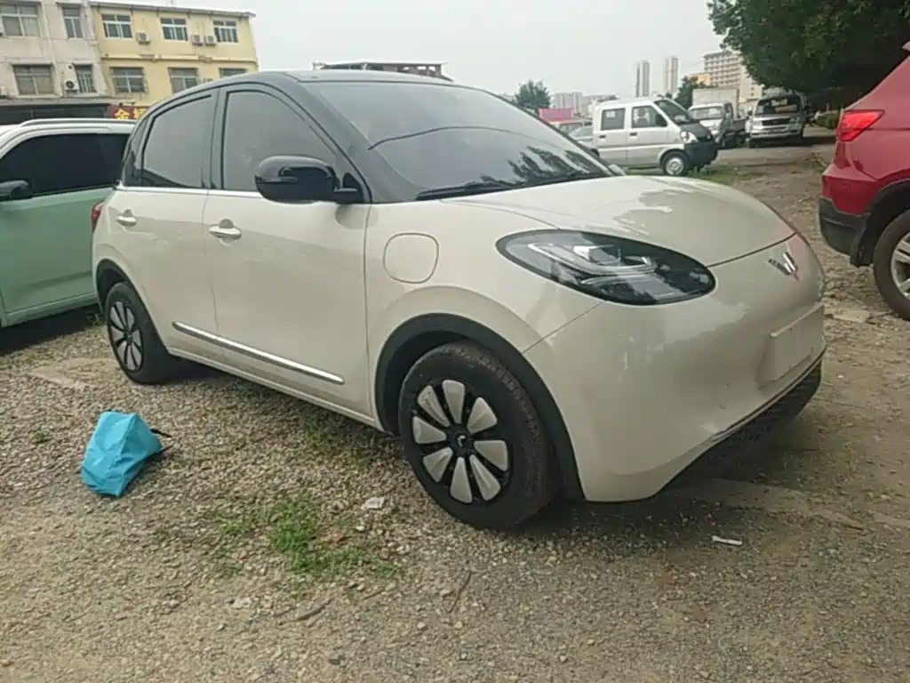 Wuling Binguo 2023 410km Premium