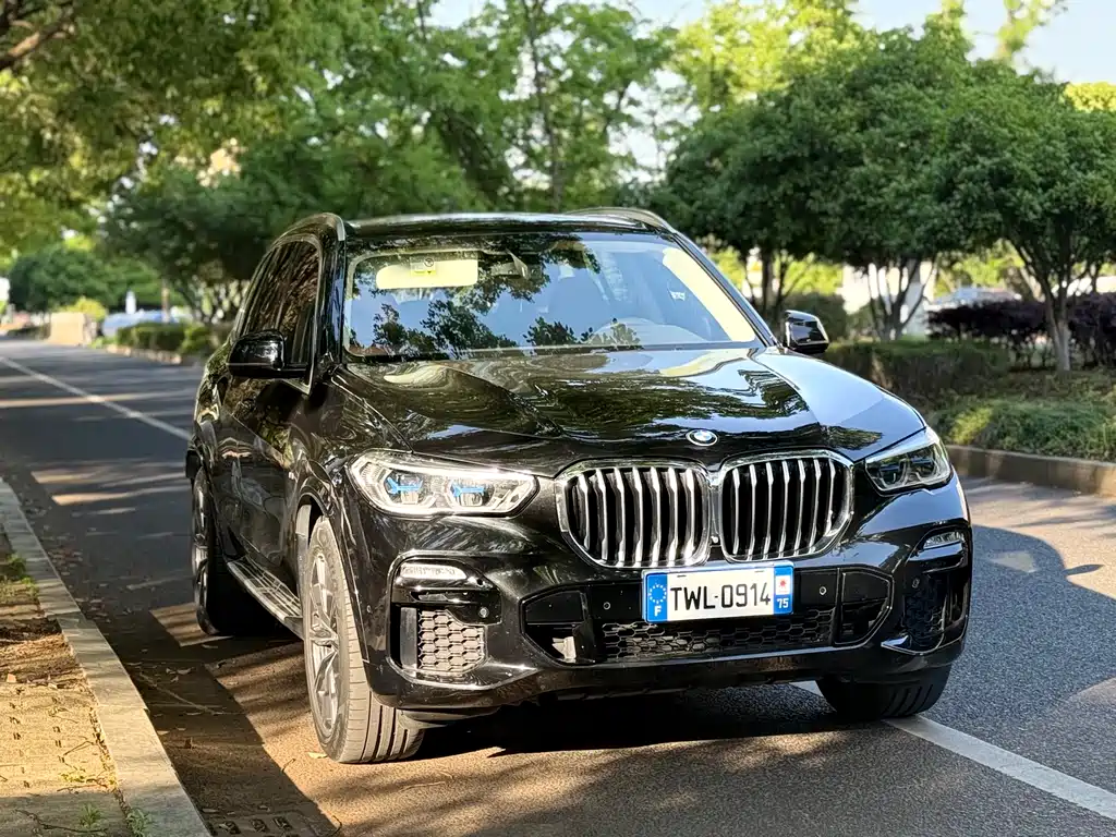 BMW X5 2020 xDrive40i M Sport