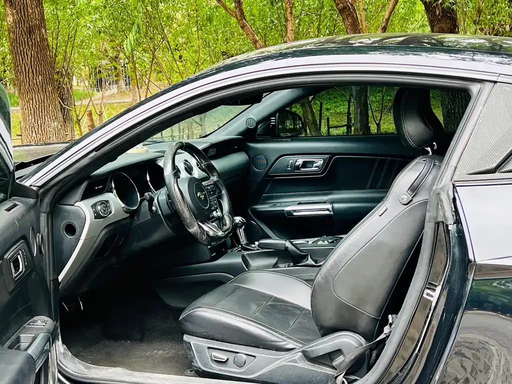 Ford Mustang — миниатюра 10