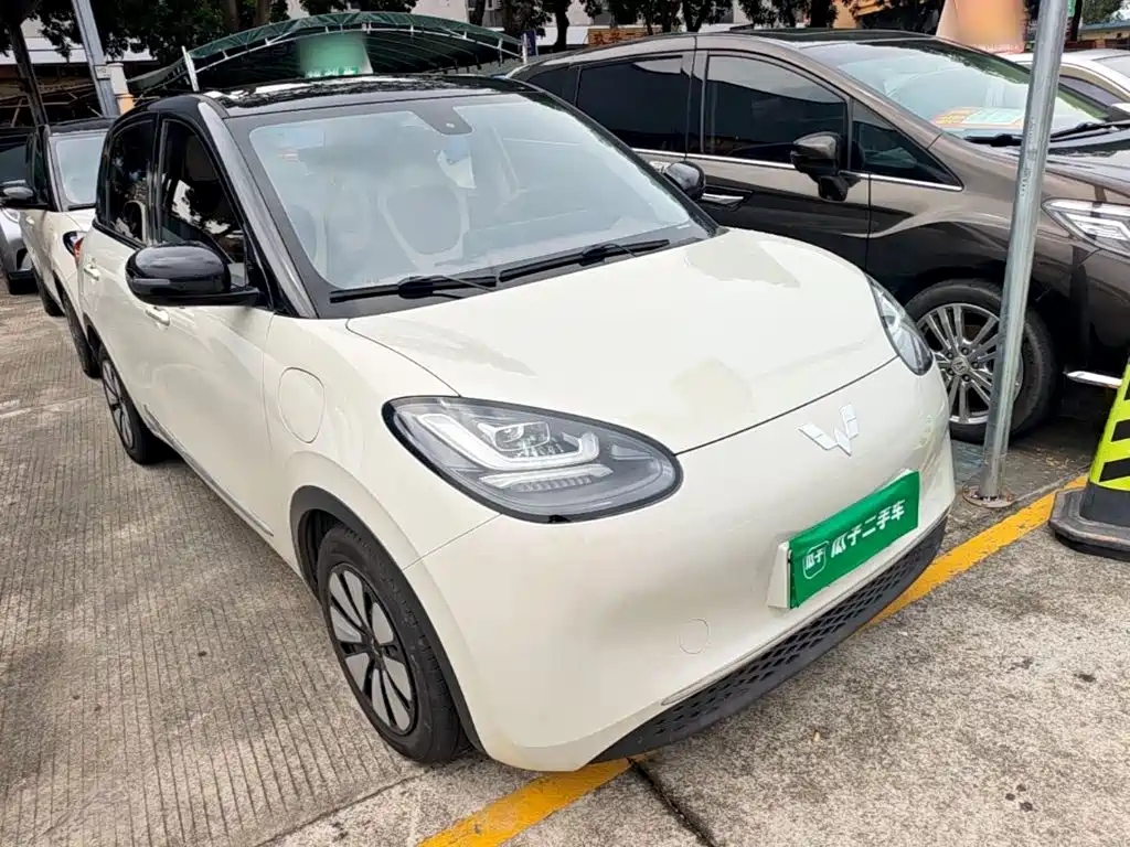 Wuling Binguo 2023 333km +