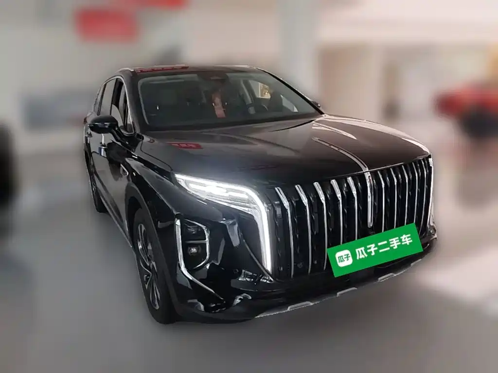 Hongqi HS7 PHEV 2024 2.0T PHEV 6 мест