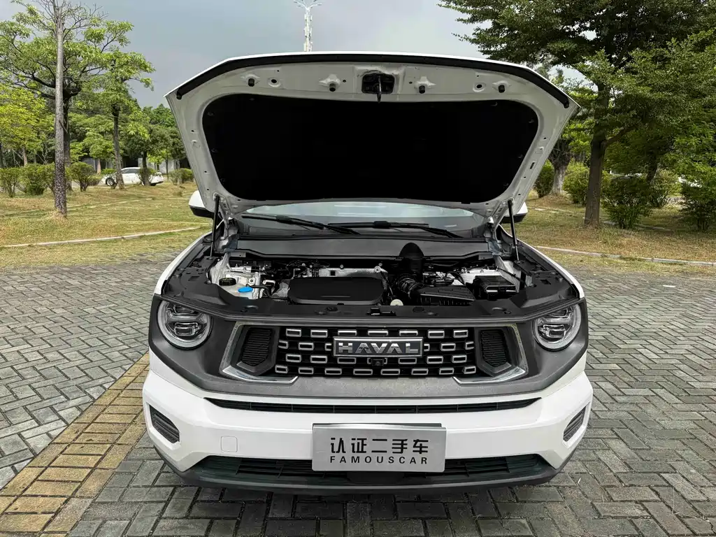 Haval Big Dog PLUS — миниатюра 17