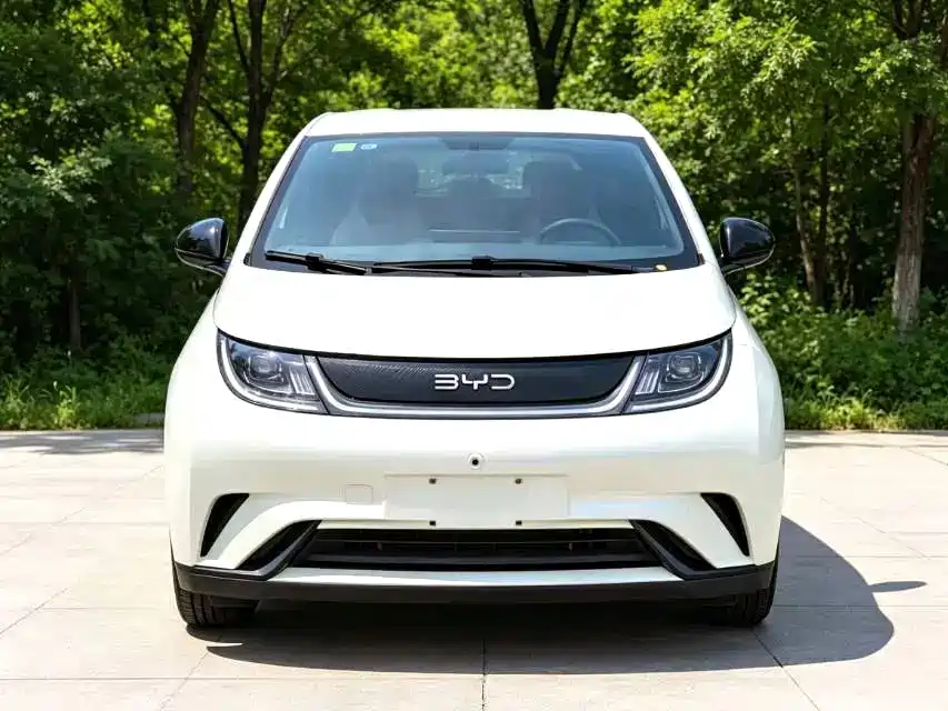 BYD Dolphin — миниатюра 2