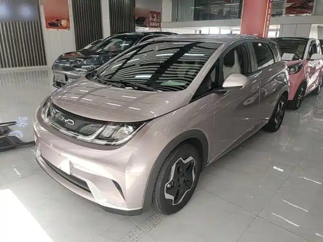 2023 BYD Dolphin