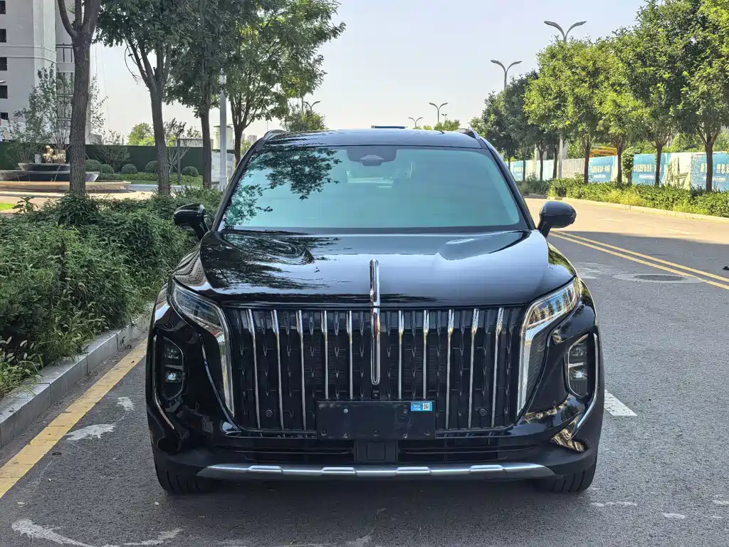 Hongqi Hongqi HS7 PHEV — миниатюра 2