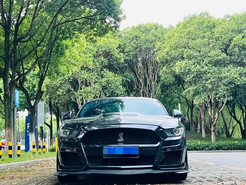 Ford Mustang — миниатюра 2