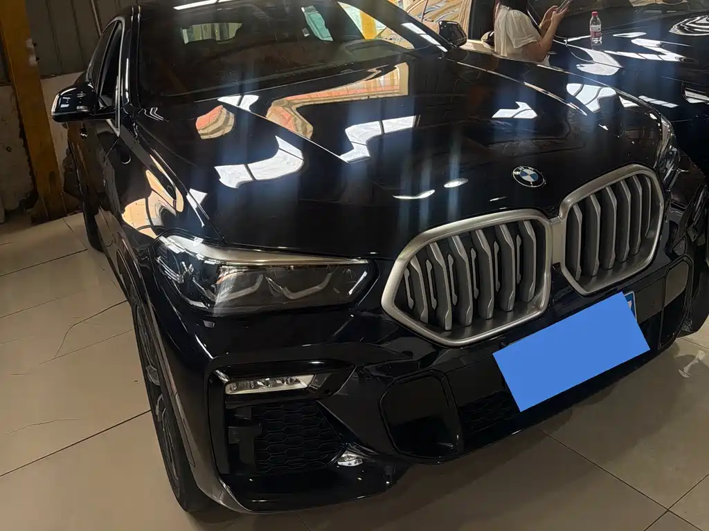 BMW X6 2020 xDrive30i M Sport