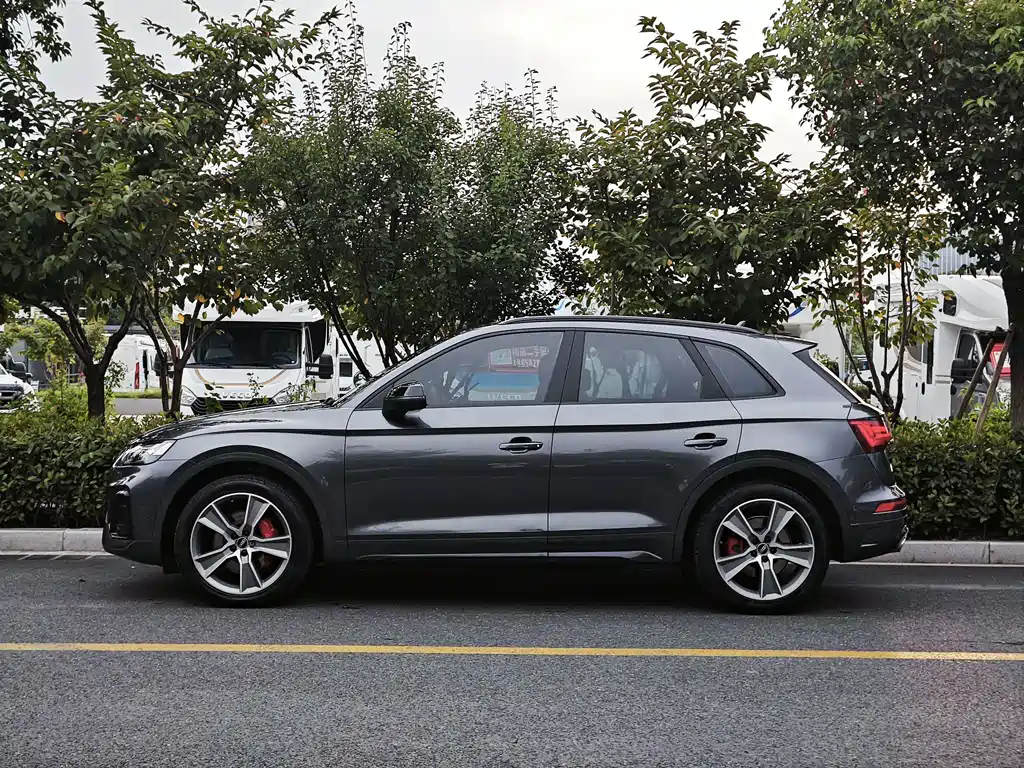 Audi SQ5 — миниатюра 5