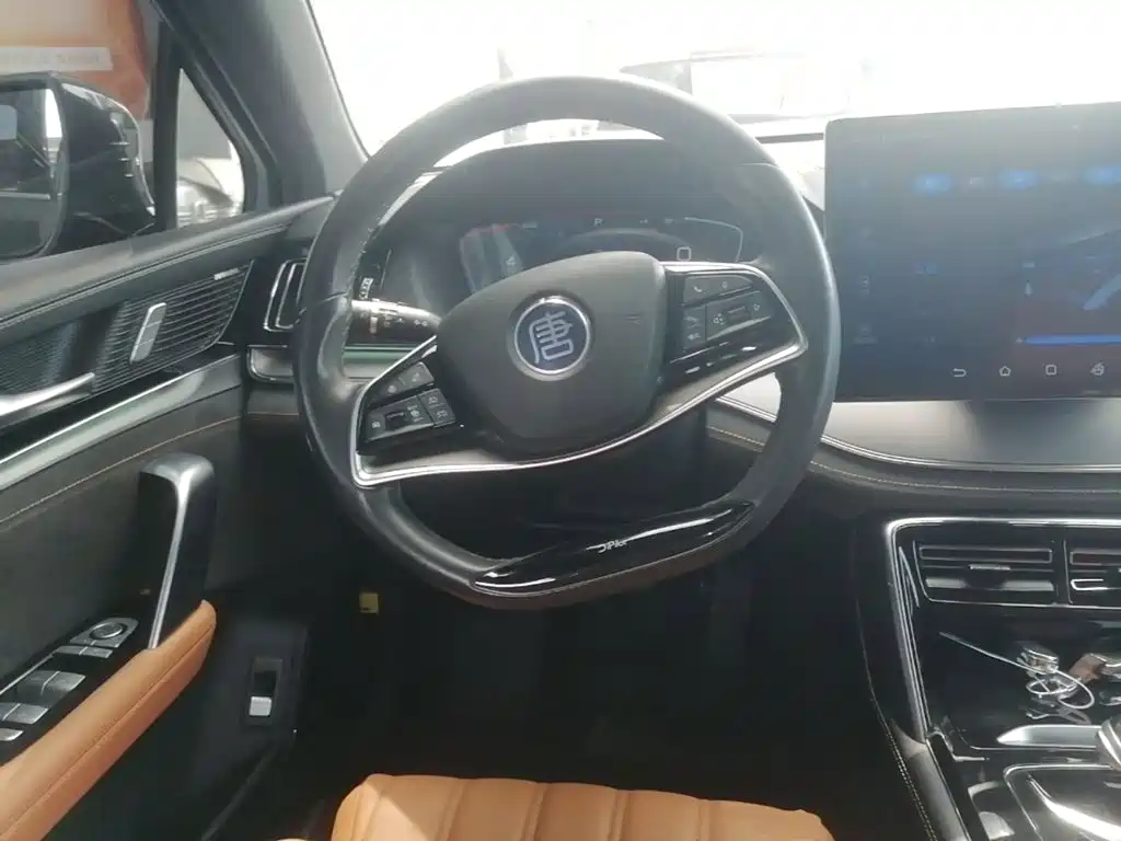 BYD Tang New Energy — миниатюра 11