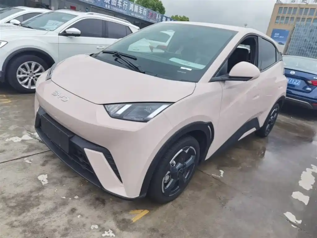 Byd Seagull 2024