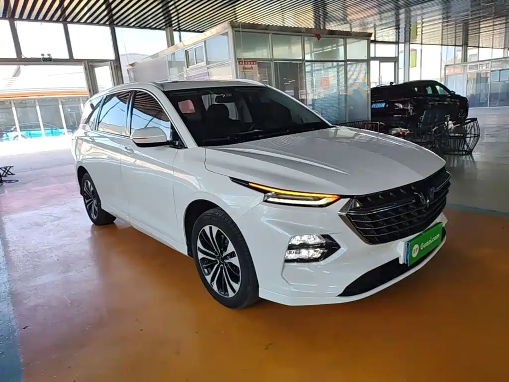 Wuling Victory — миниатюра 4