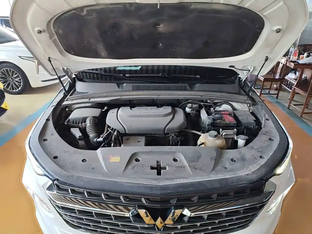 Wuling Victory — миниатюра 20