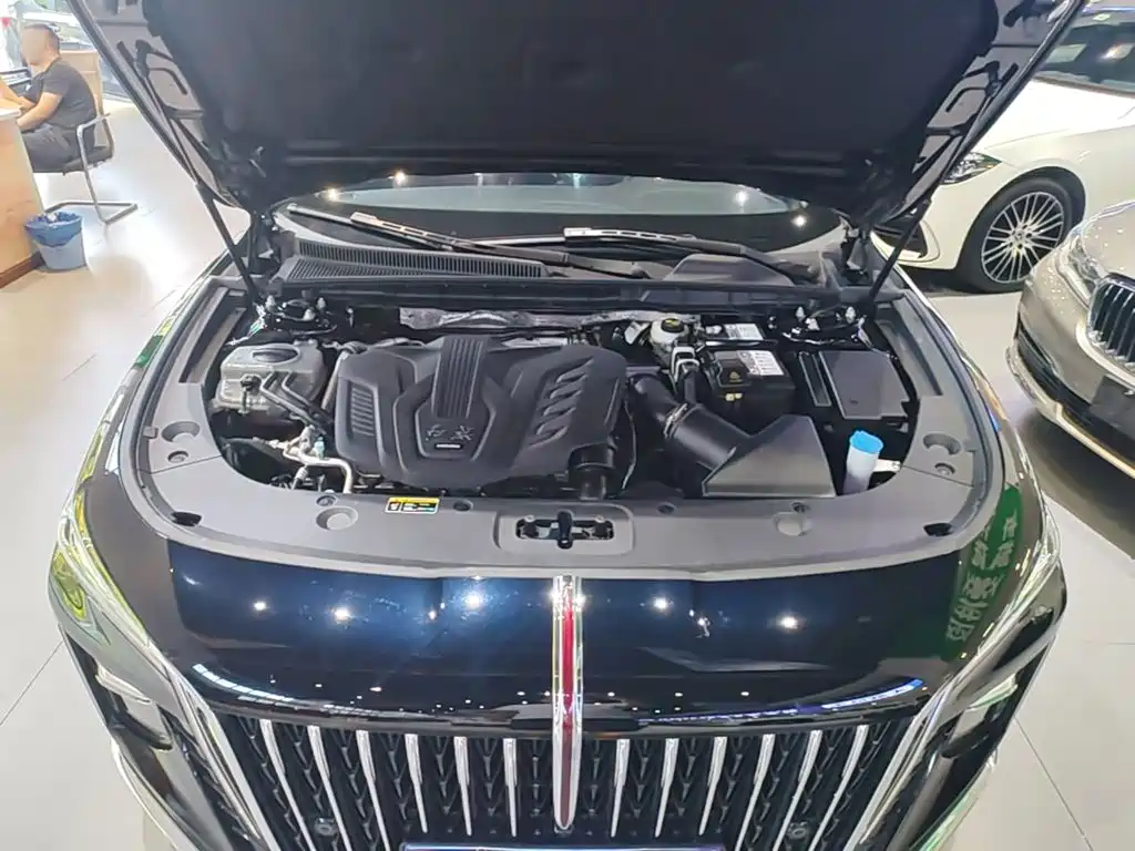 Hongqi Hongqi H5 — миниатюра 20