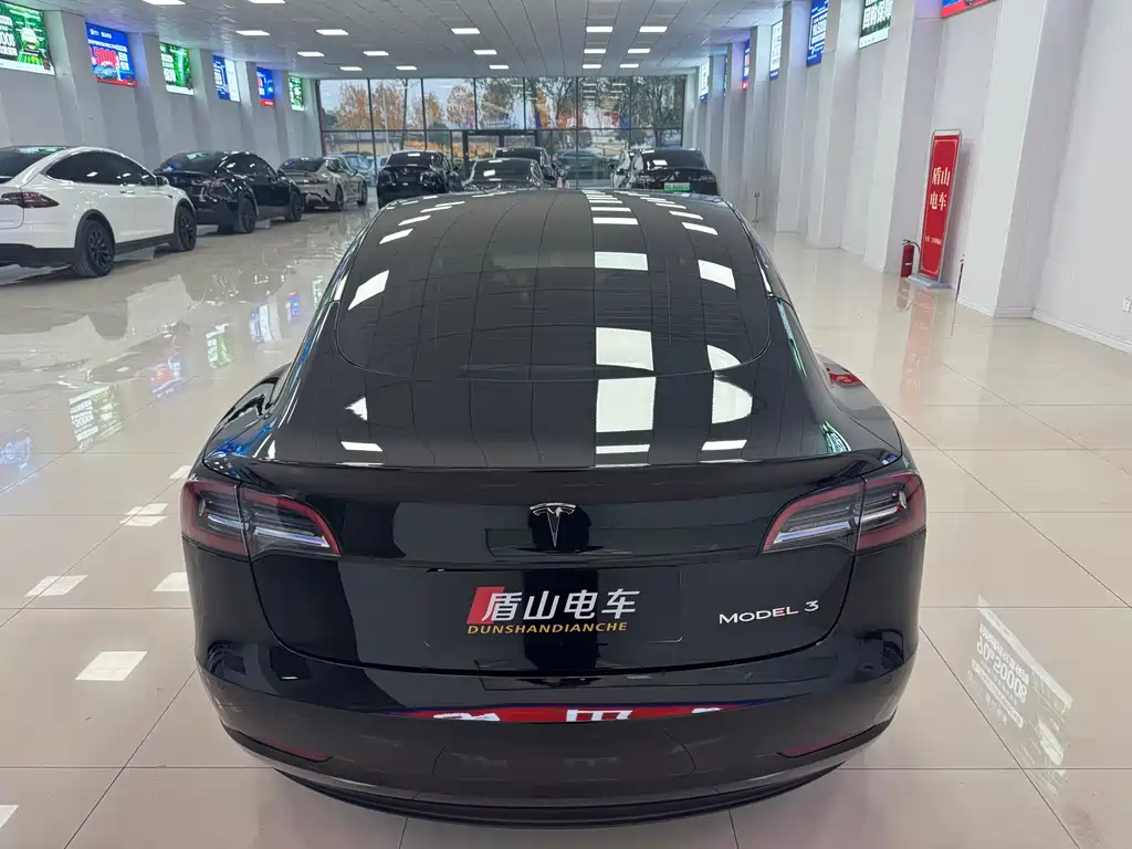 Tesla Model 3 — миниатюра 5