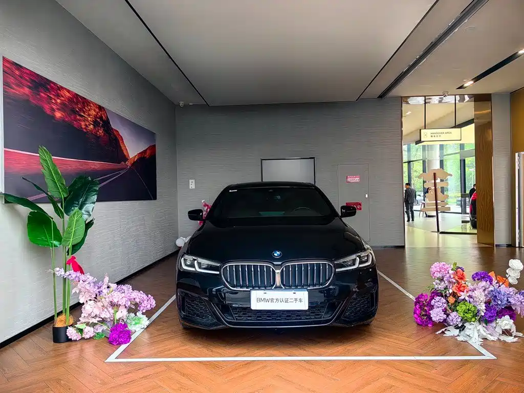 BMW 5 Series — миниатюра 2