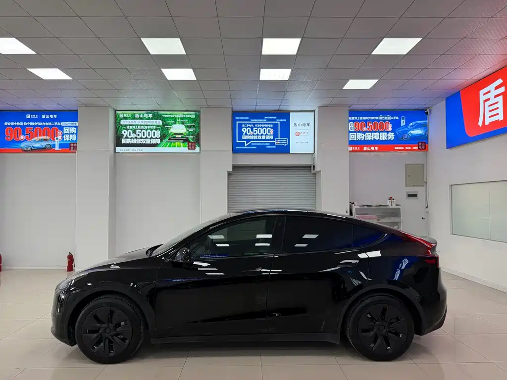 Tesla Model Y — миниатюра 3