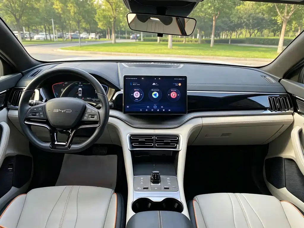 BYD PLUS New Energy — миниатюра 7