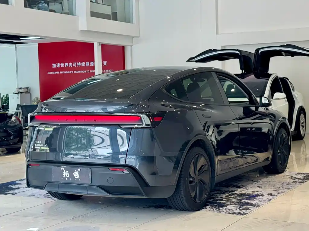 Tesla Model Y — миниатюра 15