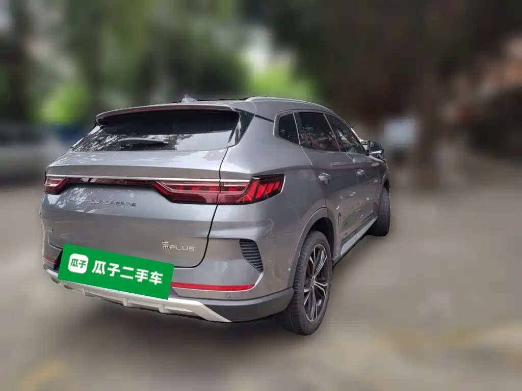 BYD PLUS — миниатюра 4