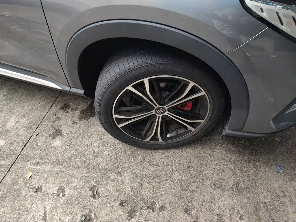 BYD PLUS — миниатюра 24