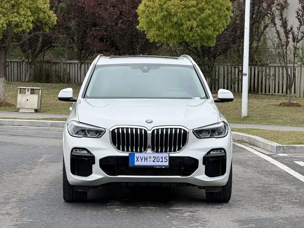 BMW X5 2020 xDrive40i M Sport