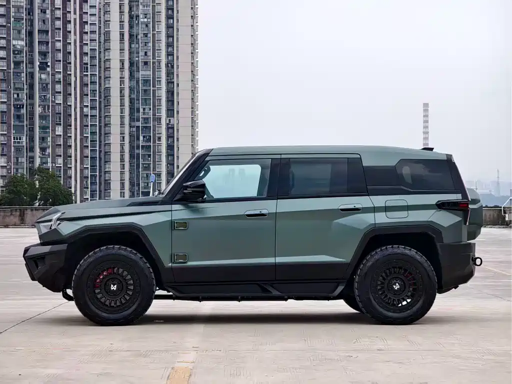Mengshi Mengshi 917 — миниатюра 7
