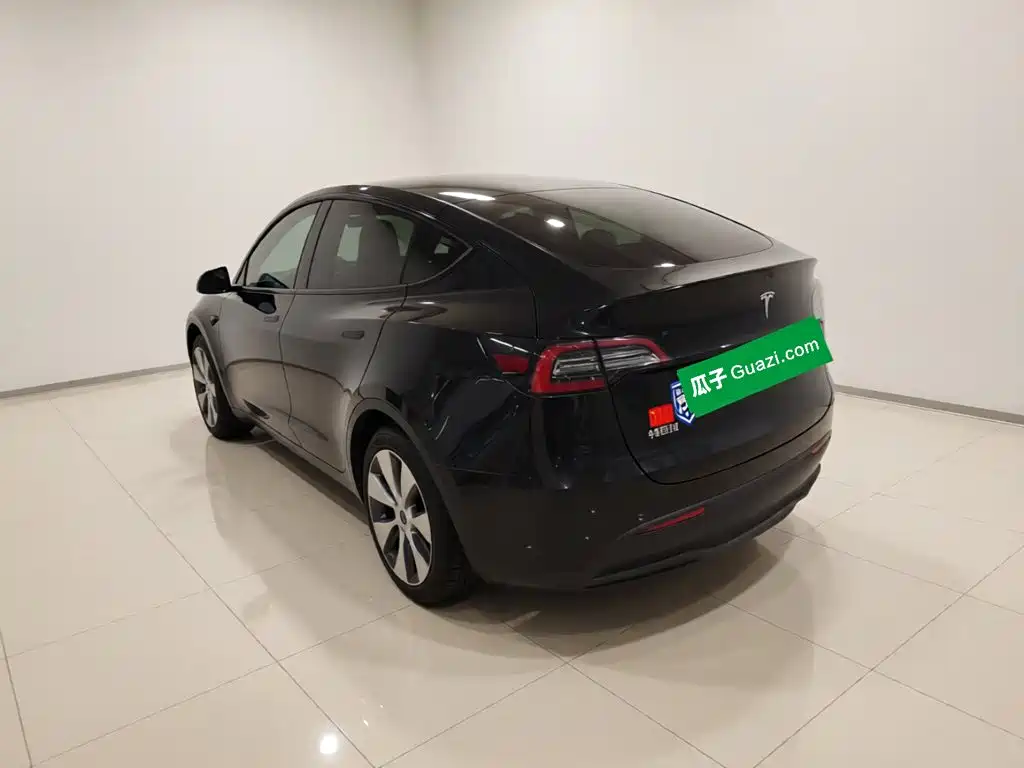Tesla Model Y — миниатюра 24